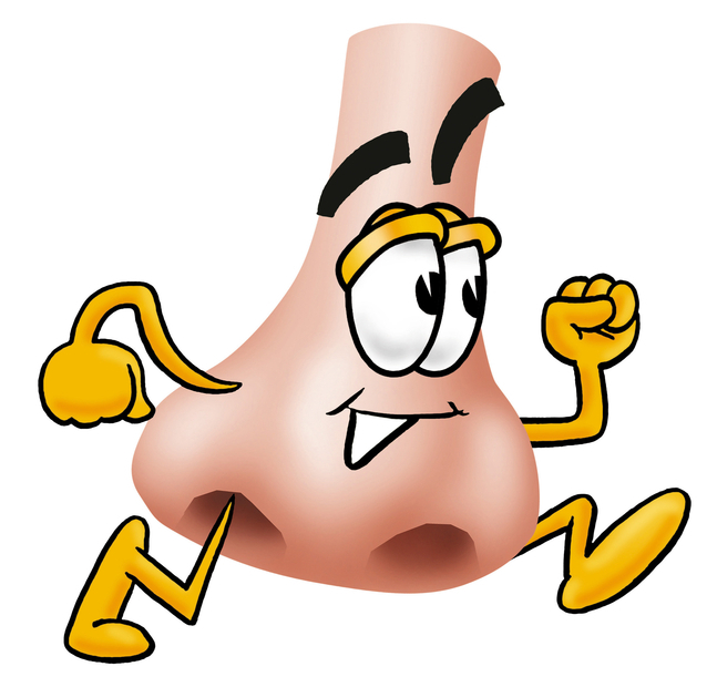 clipart runny nose - photo #46